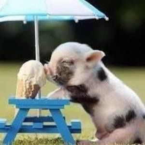 Meet your Posher, Mariposa